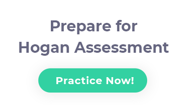 Hogan Personality Inventory (HPI) Test: Questions
